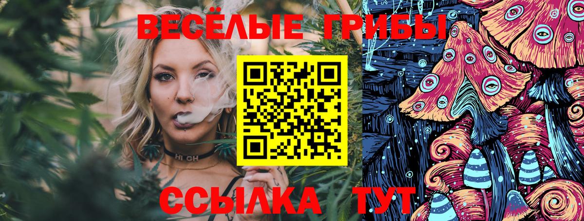 Псилоцибиновые грибы MAGIC MUSHROOMS  Галлюциногенные грибы мицелий  Вход с VPN  где продают наркотики  Удомля 