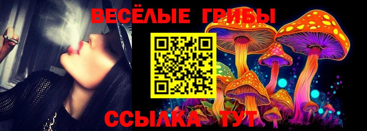 Галлюциногенные грибы мицелий Удомля
